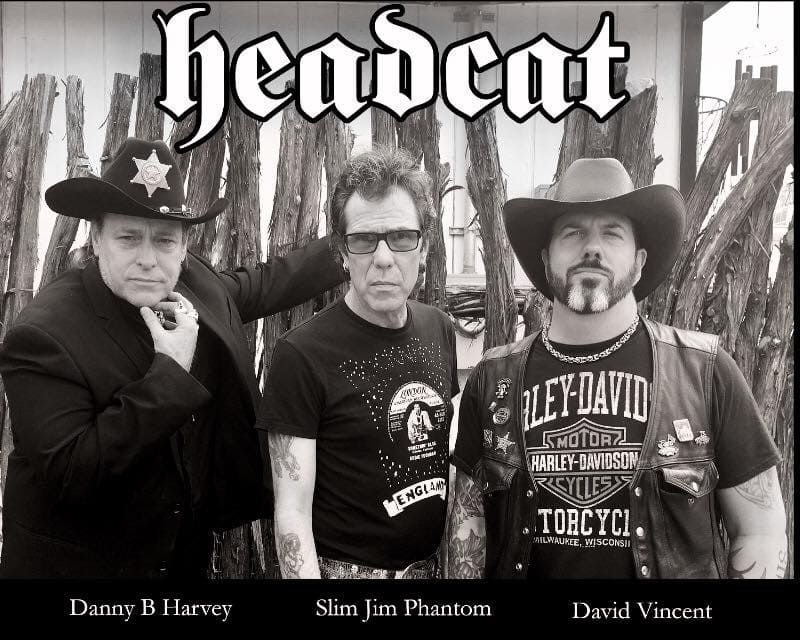 headcat_david_vincent
