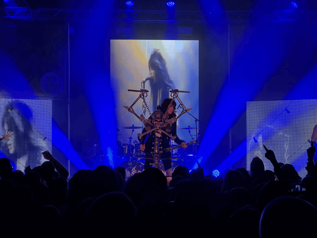 wasp