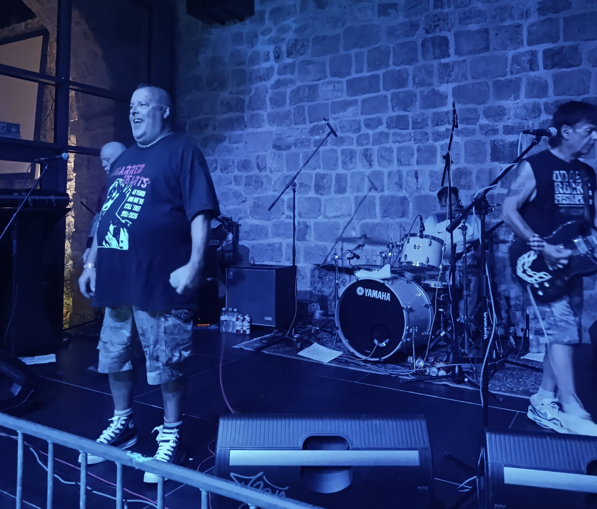 gomnaida fest