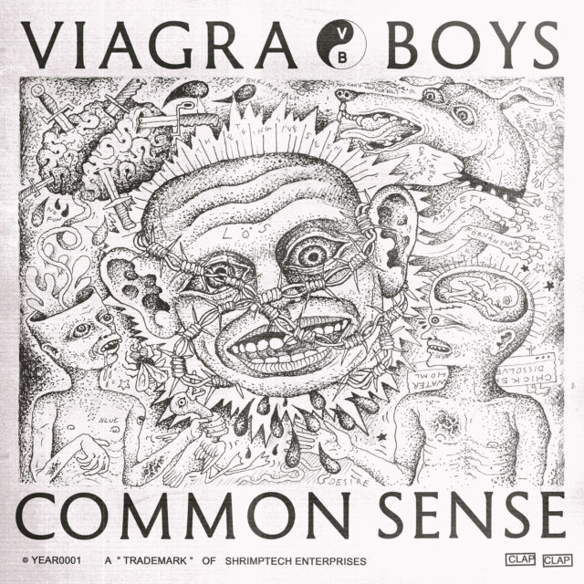 viagra boys - common sense