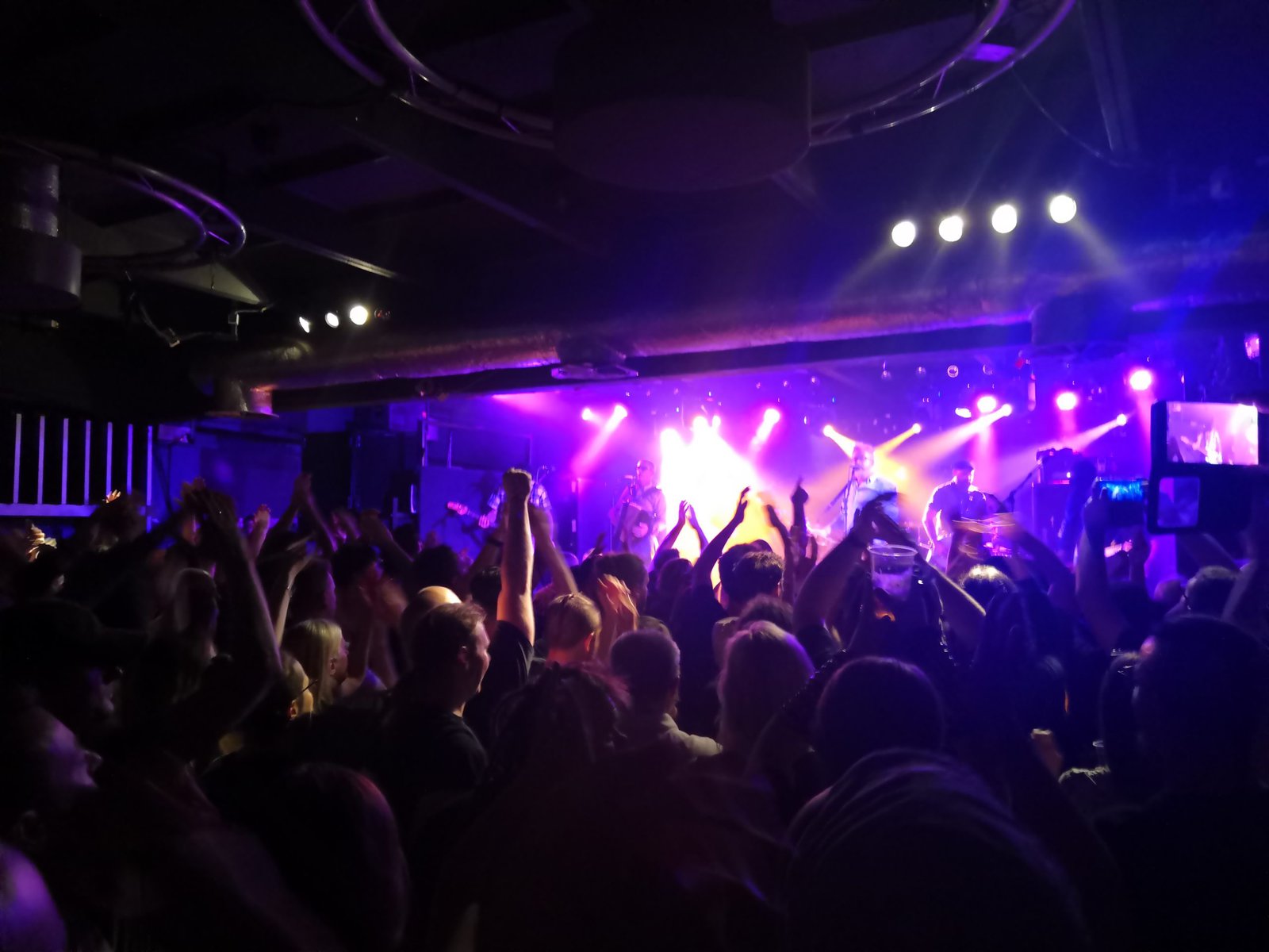 flogging molly