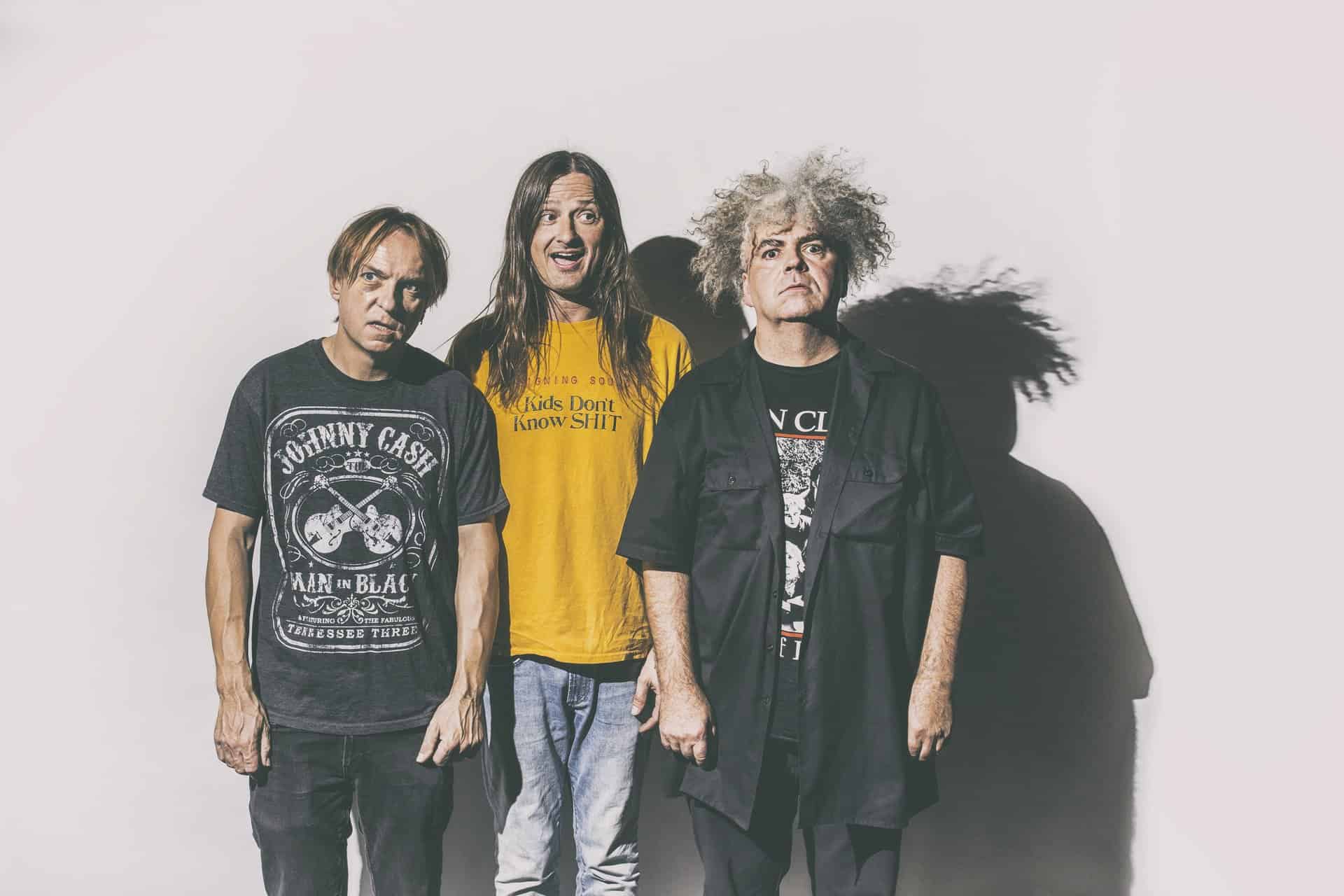melvins 