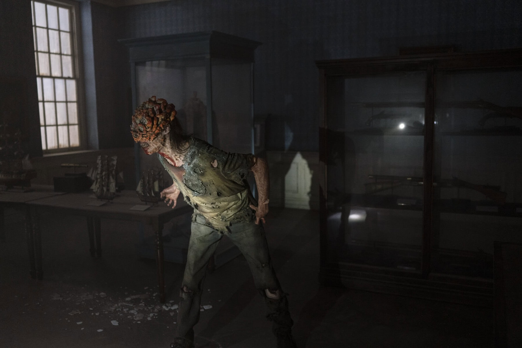 the last of us